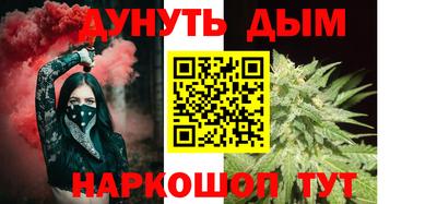 мдпв Камышлов