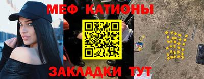 мдпв Камышлов