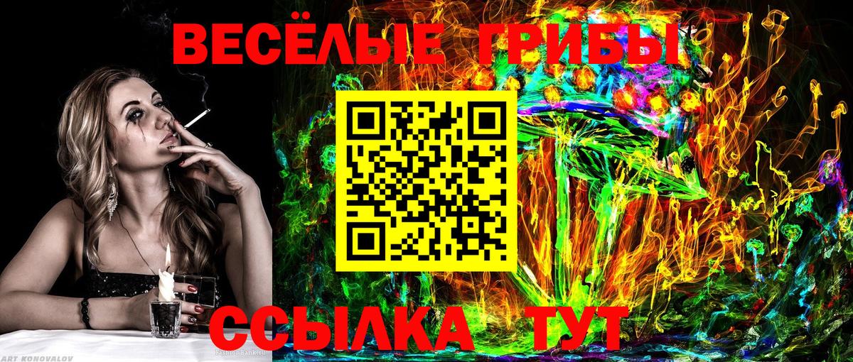 Галлюциногенные грибы Psilocybe Приморско-Ахтарск